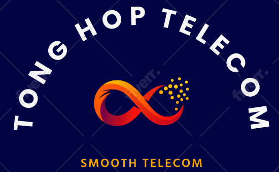 CÔNG TY CỔ PHẦN VIỄN THÔNG TỔNG HỢP SÀI GÒN